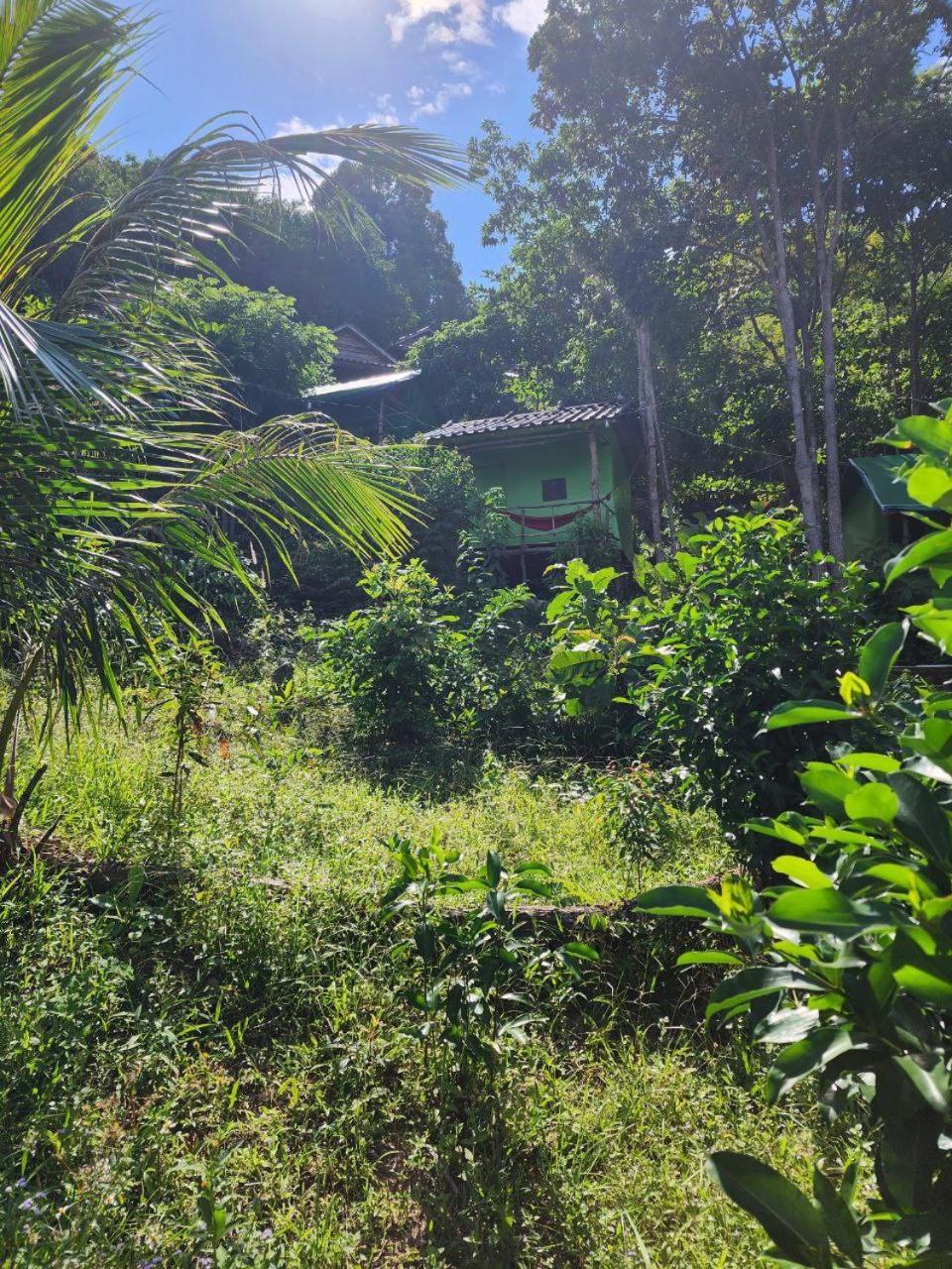 Sweet Jungle Camping Kaoh Touch Extérieur photo